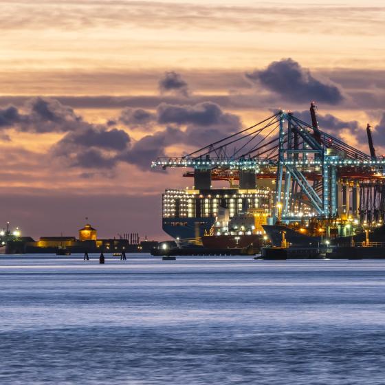 Containerfartyg och hamnkranar i kvällsljus med Nya Älvsborgs fästning i bakgrunden